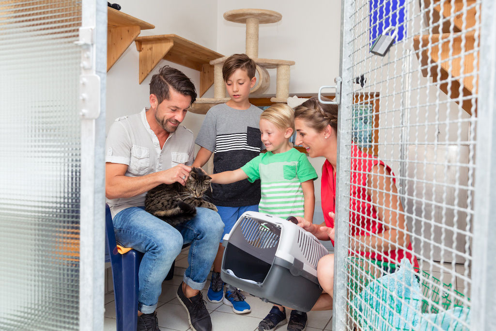 Mom, Dad and two kids at animal shelter adopting a cat